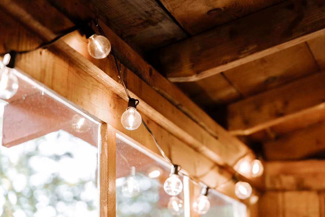 Photo Edison bulbs