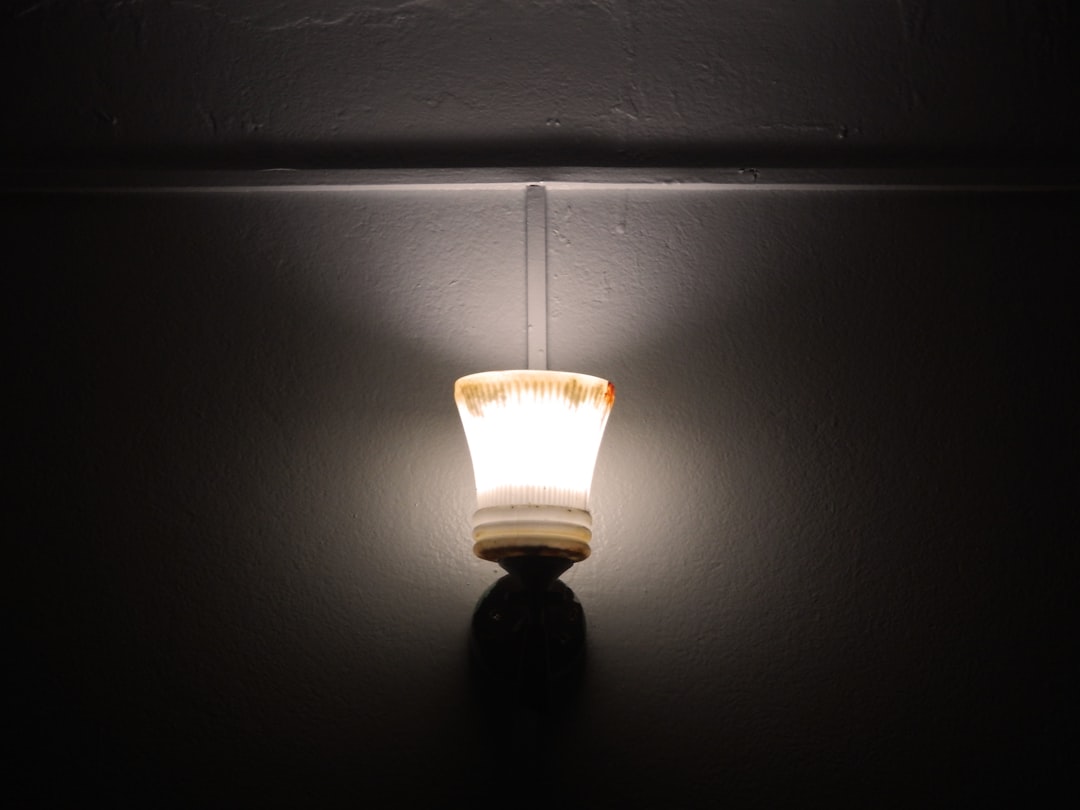 Photo motion sensor lamp